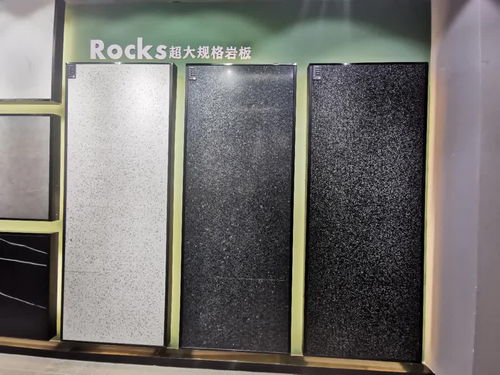 寶達(dá)集團(tuán)張剛 巖板是現(xiàn)代仿古升級(jí)版，其進(jìn)化應(yīng)遵從市場(chǎng)邏輯，推動(dòng)免漆扣板發(fā)展